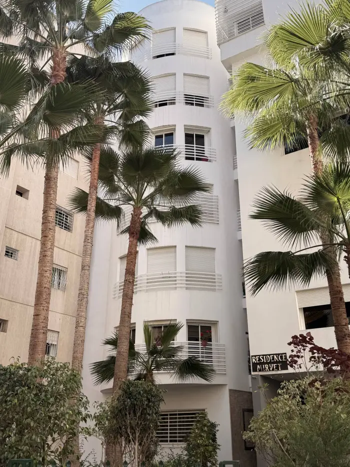 Grand appartement moderne · Mimosa — photo 14